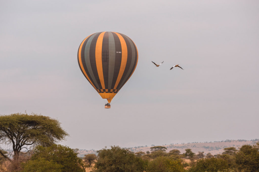 Miracle experience flying in the Serengeti which is good For a Balloon Safari in Africa