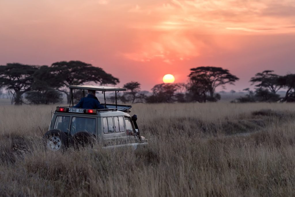 a vehicle in the Serengeti plains going on safari