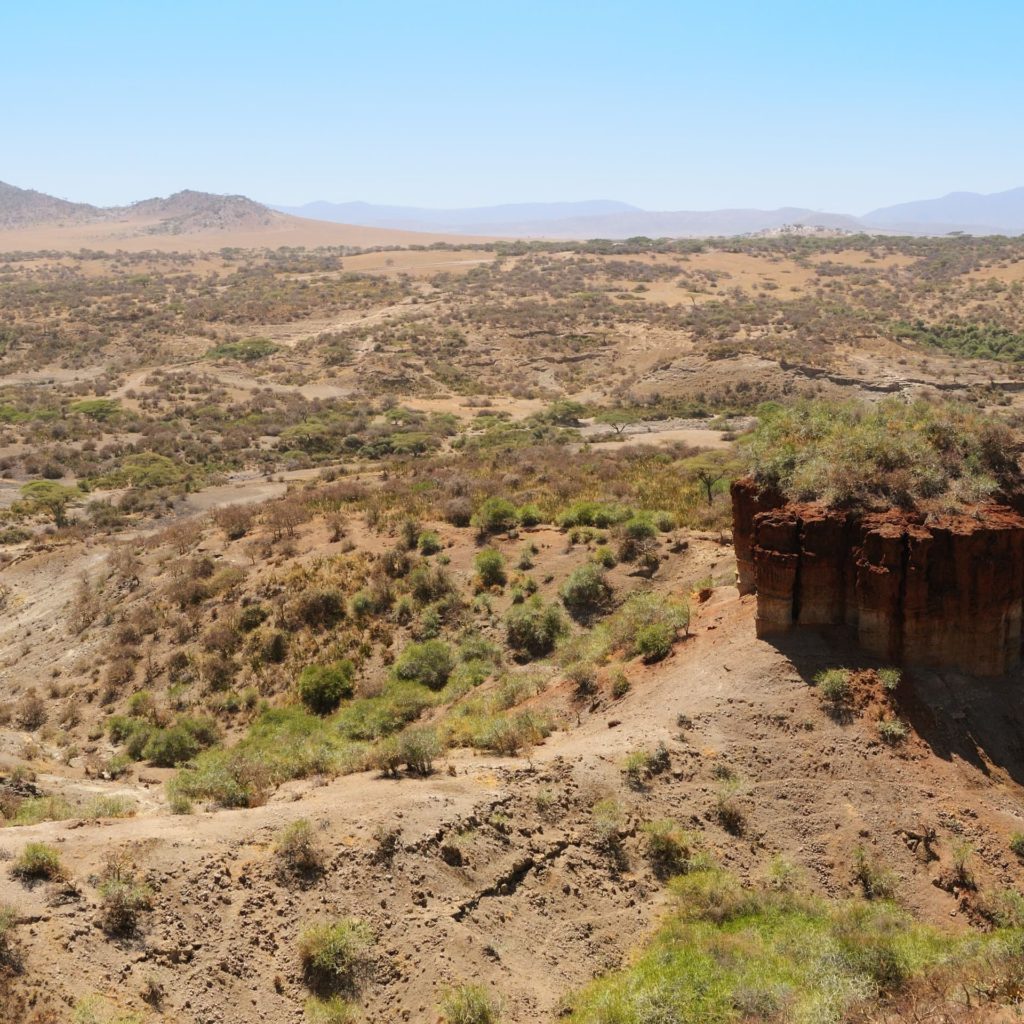 Gola di Olduvai; un luogo da visitare nel Parco Nazionale del Serengeti