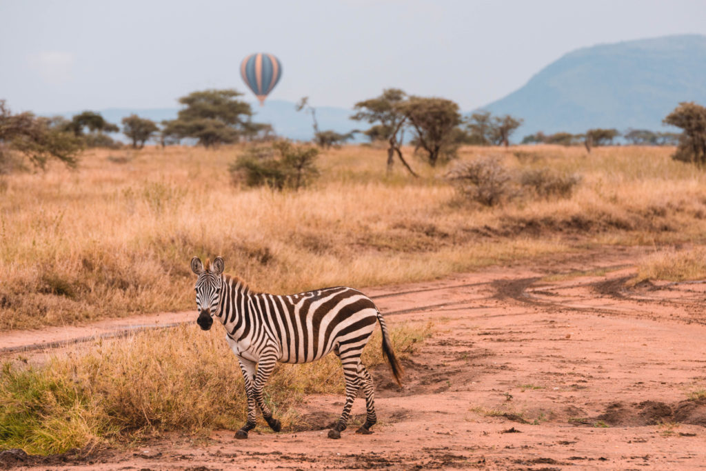 A balloon safari in the Serengeti is good For a Balloon Safari in Africa