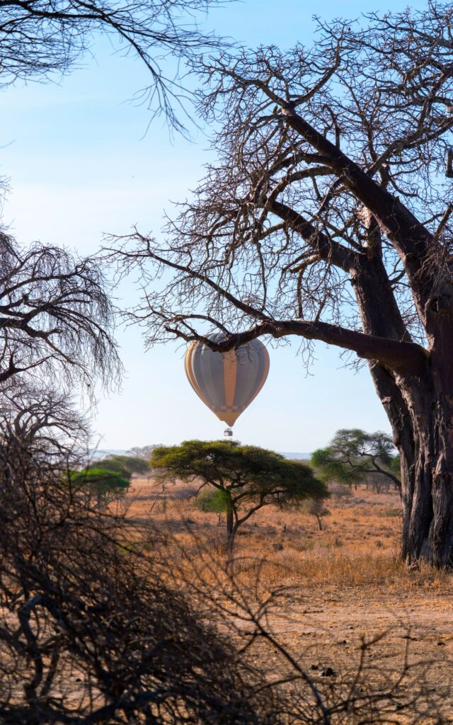 Heißluftballon über dem Tarangire-Nationalpark