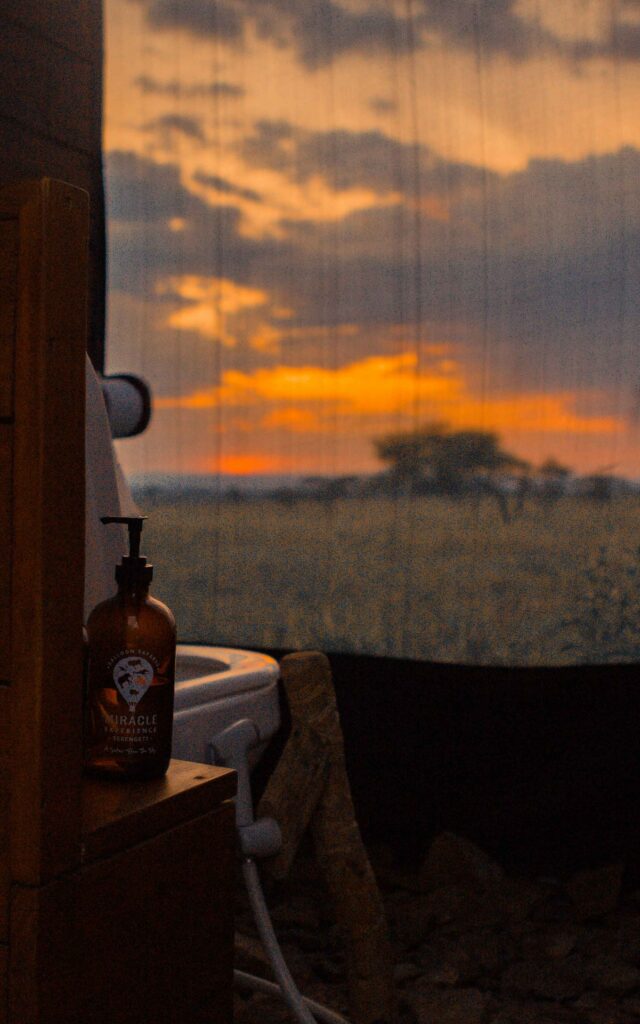 Tome un baño con vistas a las llanuras del Serengeti