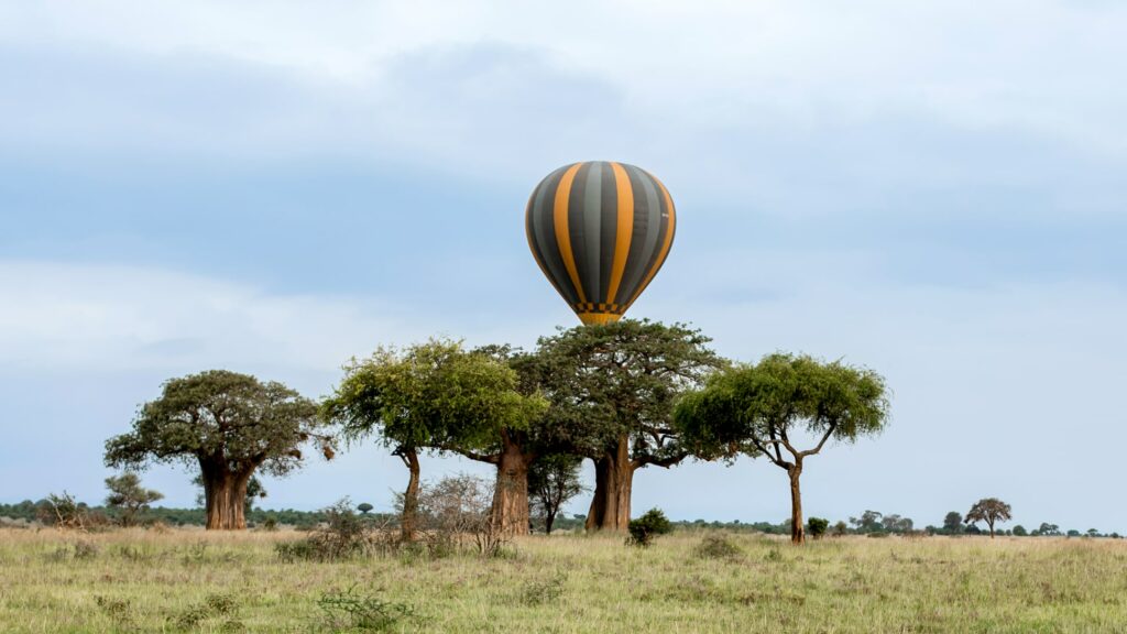 Globo aerostático sobre los baobabs de Tarangire