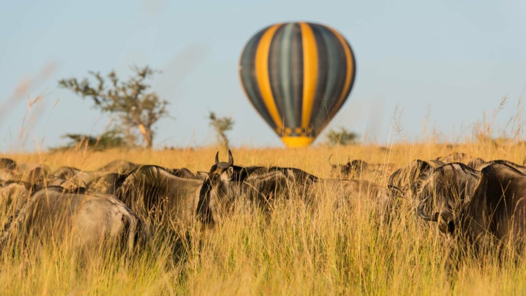 Miracle Experience Safaris en ballon au-dessus de la migration