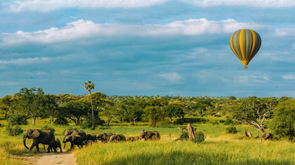 Safari en globo por Tarangire