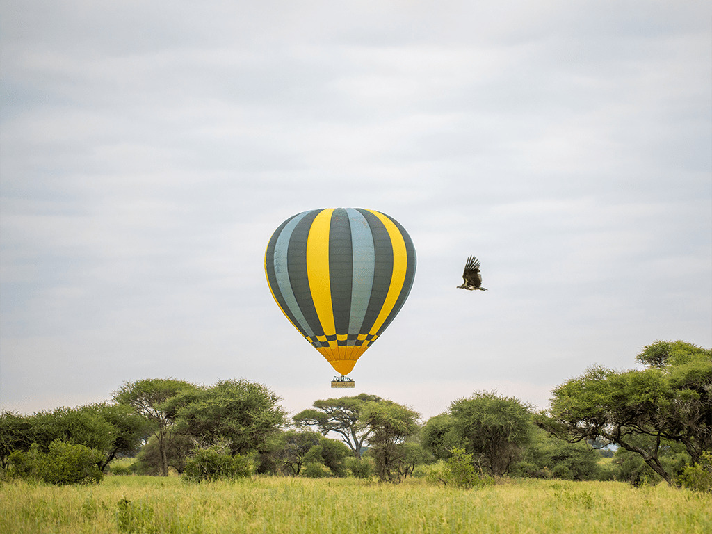 Die Miracle Experience-Heißluftballonsafari in Tarangire 
