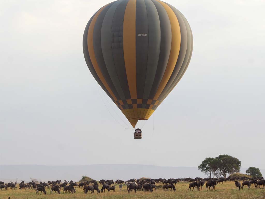 A stunning aerial view From the Hot air Balloon of the Wildebeest Migration across the Serengeti plains