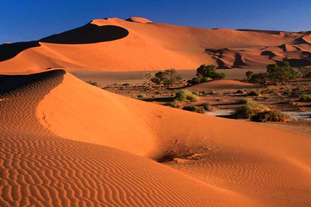 Sand dunes at Namib Naukluft Park is good For a Balloon Safari in Africa
